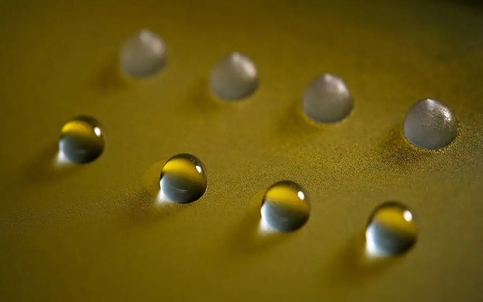 Phát hiện protein nấm có thể đóng băng nước ở nhiệt độ cao mở ra khả?