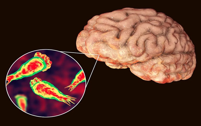 Rất có thể bạn đã bị nhiễm một loại virus ăn não mà bạn chưa từng ngh?