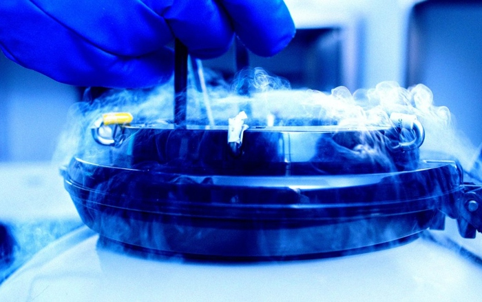 Não chết rồi vẫn “sống lại”? Thí nghiệm đóng băng sâu gây chấn động g?