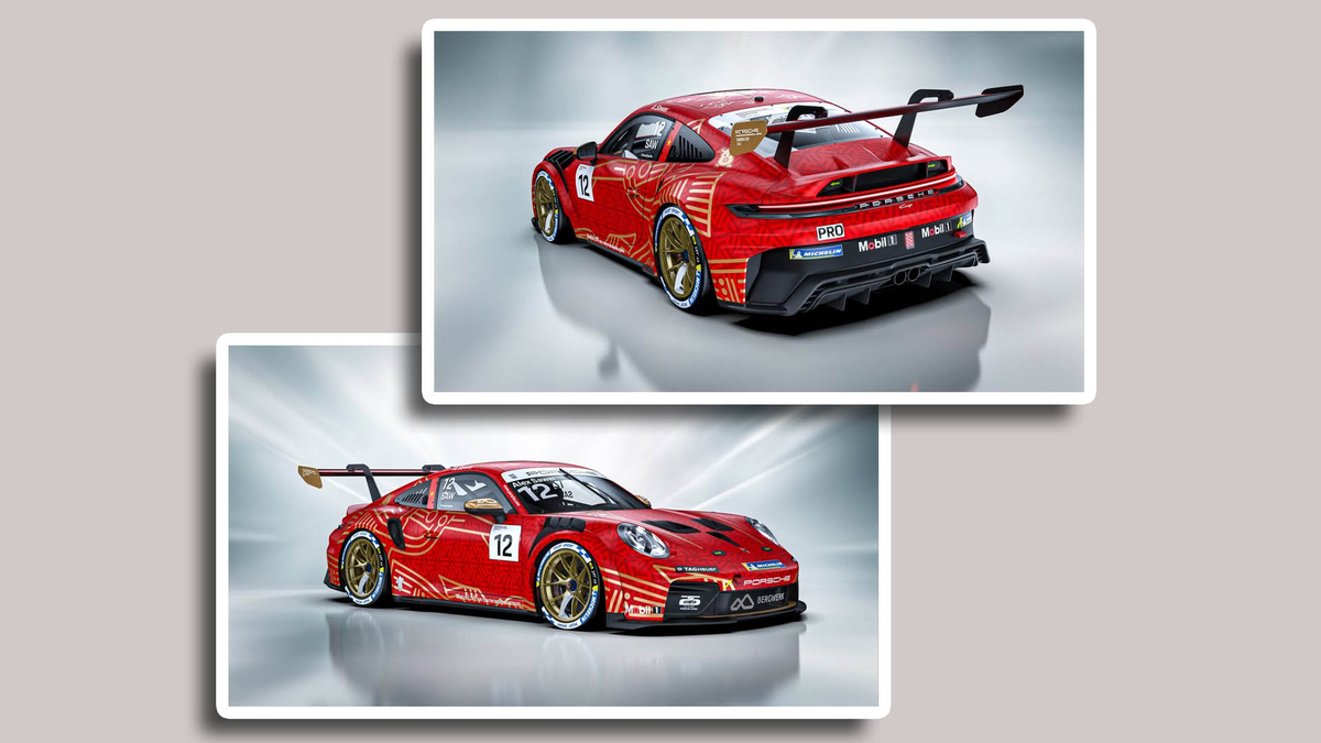 Chim lạc hiện diện trên xe đua Porsche 911